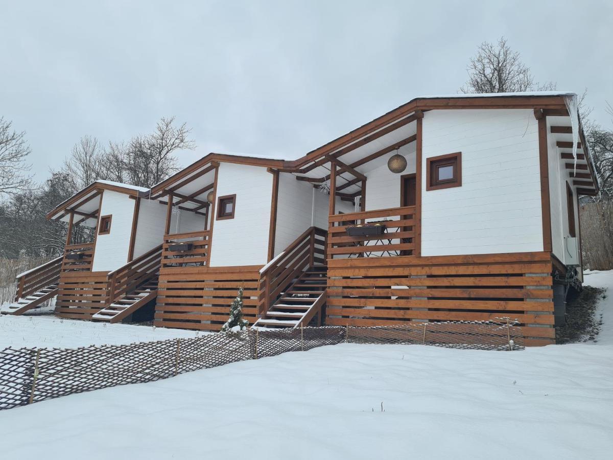 Flori Haus Saschiz Hotel Exterior photo